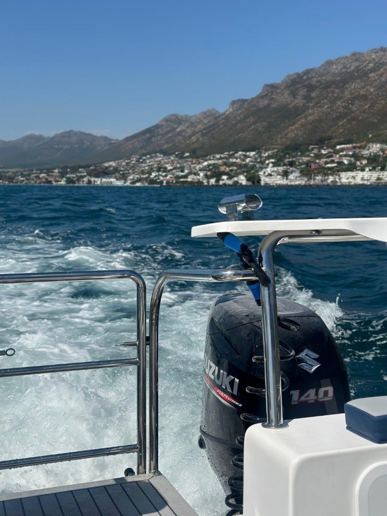 Twin Suzuki 140 Four Stroke Outboard Performance